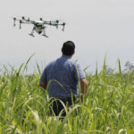 Növényvédelmi drónpilóta képzés